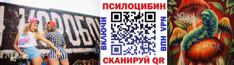 Купить  Малоархангельск  Галлюциногенные грибы MAGIC MUSHROOMS 